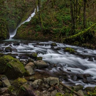 足球滚球的正规平台app