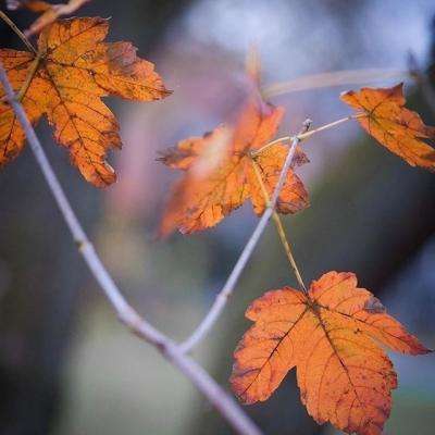 博鱼·体育登录入口